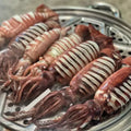 DONGKWANG Whole Cleaned Squid 손질된 통 오징어 2pc 320g