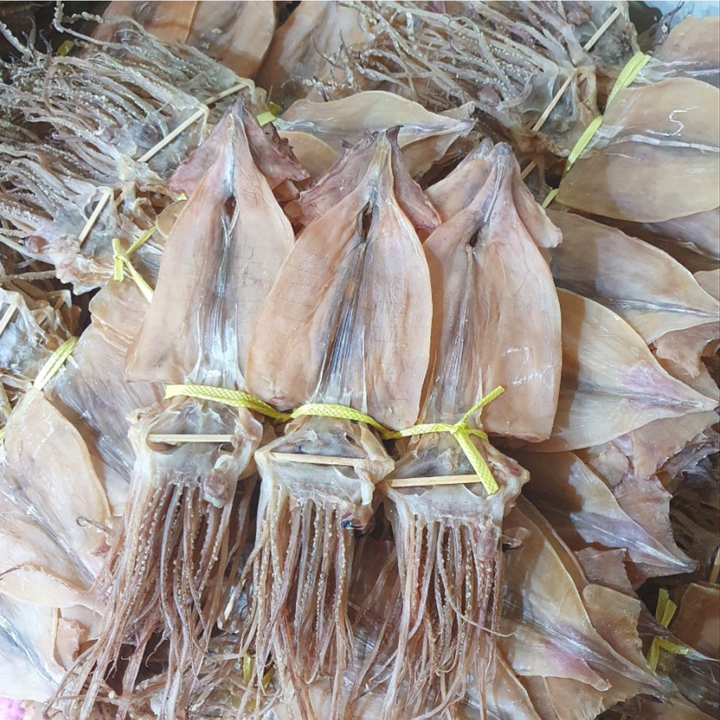 DONGKWANG Frozen Dried Squid 건조 오징어 60g