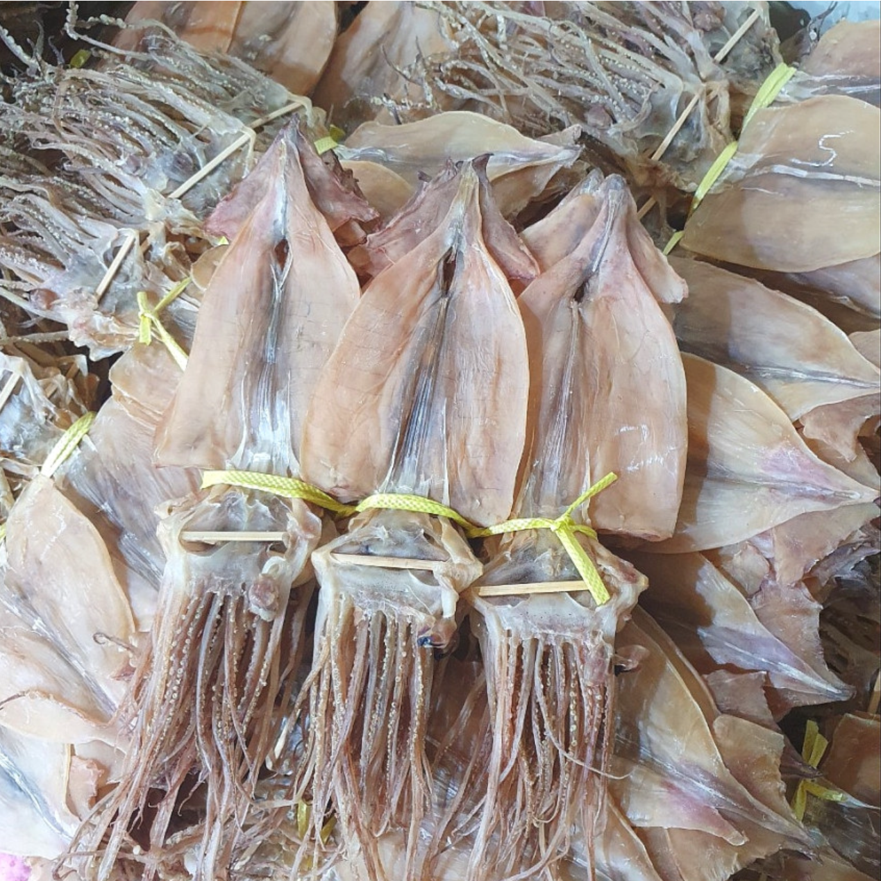 DONGKWANG Frozen Dried Squid 건조 오징어 60g