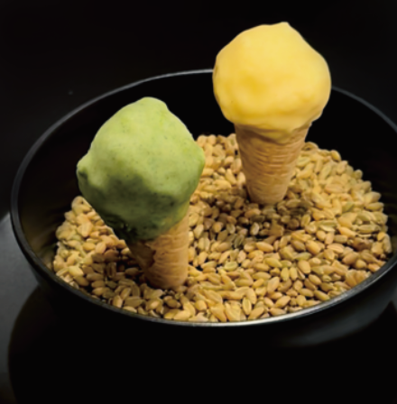 MINI POP GELATO Assorted Flavor 8ea
